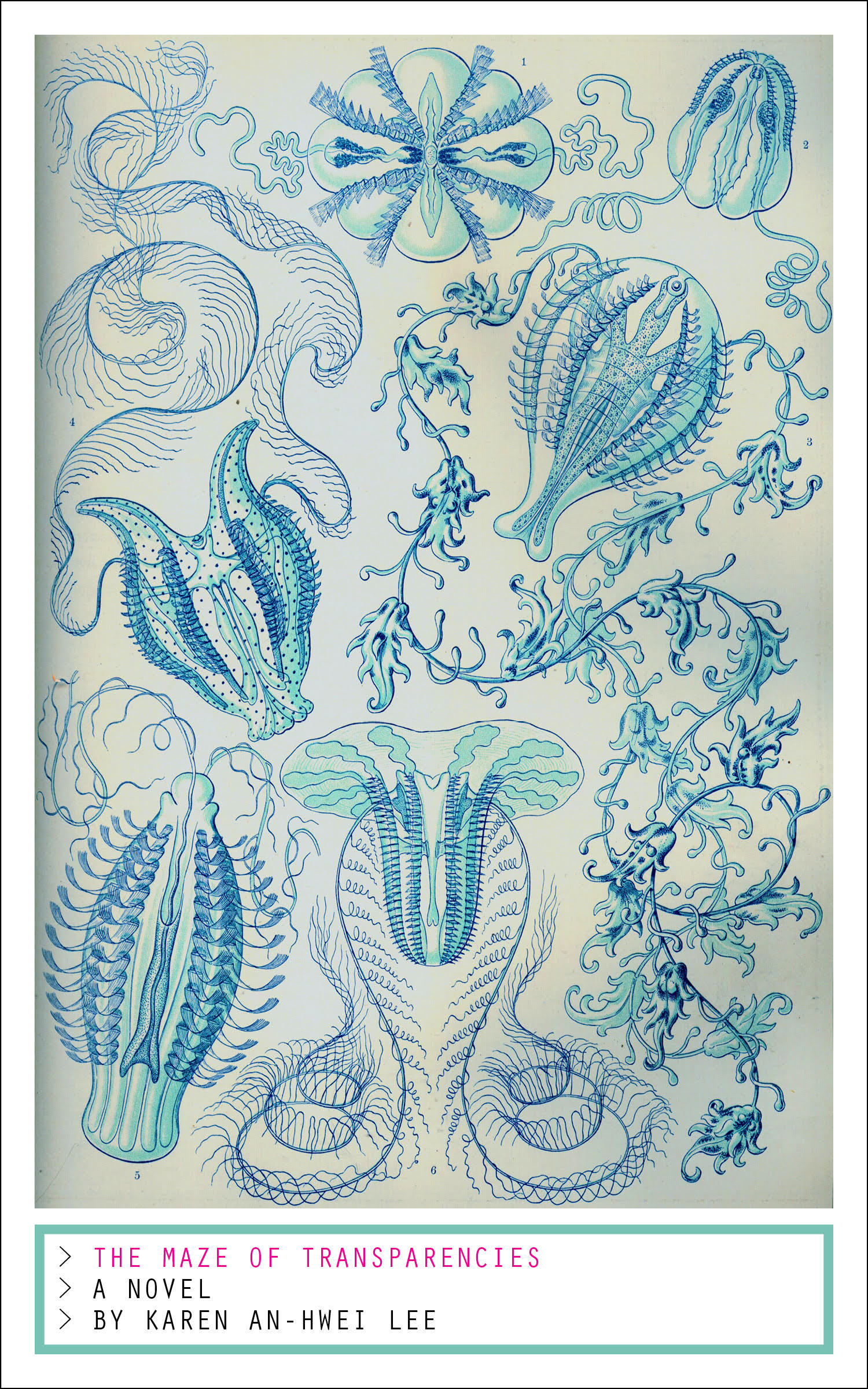 tmot-web-front-cover